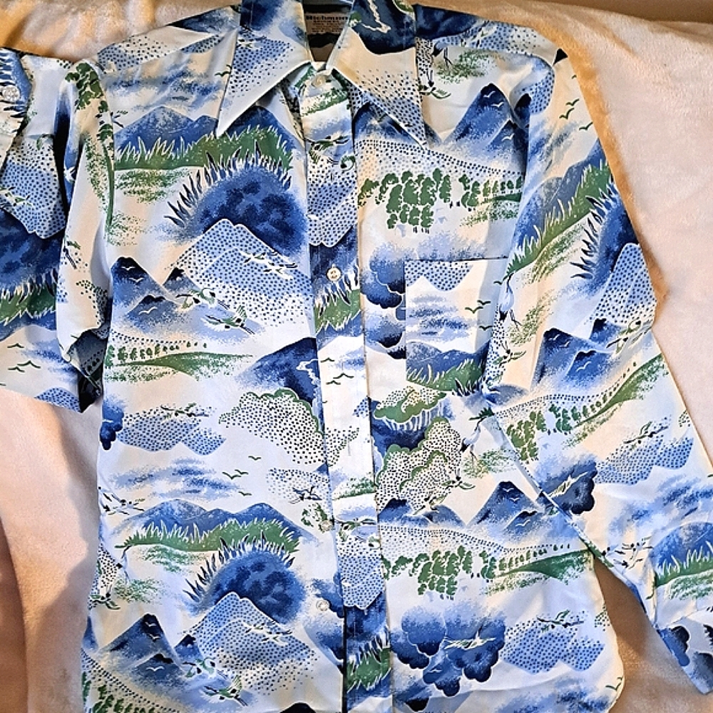 Vintage men's scenic shirt